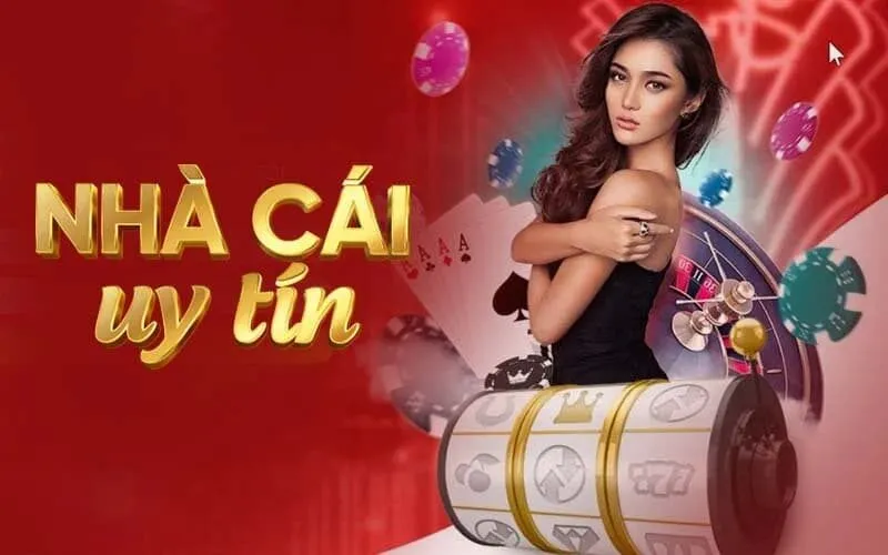 Tại sao chọn top nhà cái uy tín?